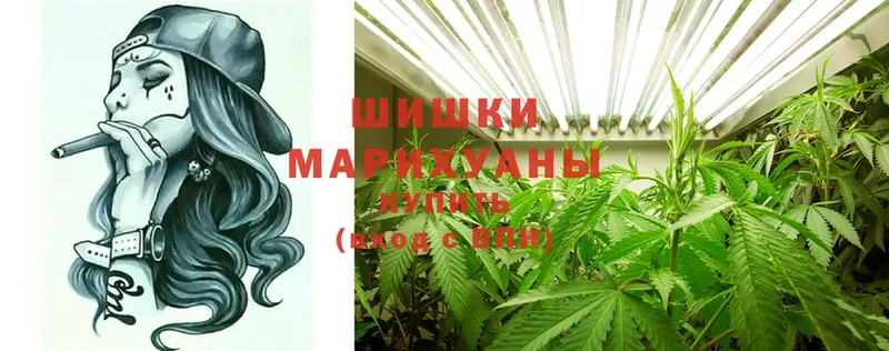 где можно купить наркотик  Зарайск  Каннабис LSD WEED 